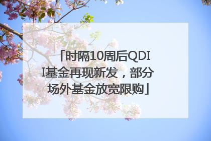 时隔10周后QDII基金再现新发，部分场外基金放宽限购