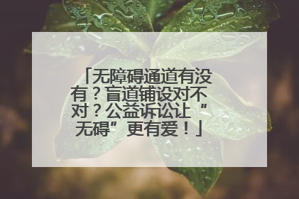 无障碍通道有没有？盲道铺设对不对？公益诉讼让“无碍”更有爱！