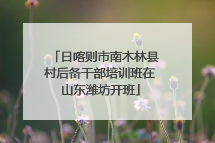 日喀则市南木林县村后备干部培训班在山东潍坊开班