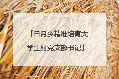 日月乡精准培育大学生村党支部书记