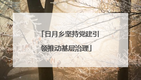 日月乡坚持党建引领推动基层治理