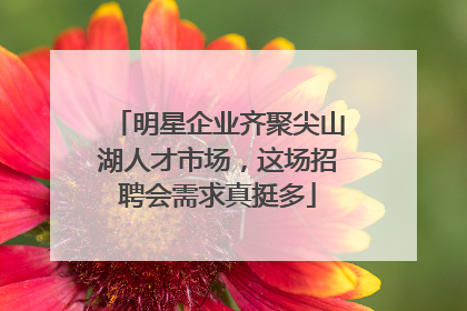 明星企业齐聚尖山湖人才市场，这场招聘会需求真挺多