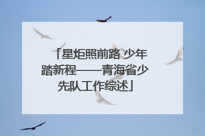 星炬照前路 少年踏新程——青海省少先队工作综述