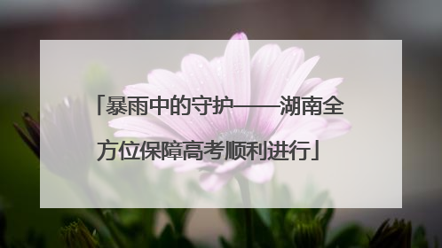 暴雨中的守护——湖南全方位保障高考顺利进行