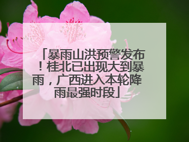 暴雨山洪预警发布！桂北已出现大到暴雨，广西进入本轮降雨最强时段