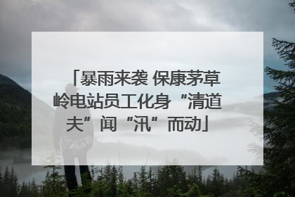 暴雨来袭 保康茅草岭电站员工化身“清道夫”闻“汛”而动