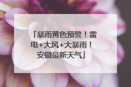暴雨黄色预警！雷电+大风+大暴雨！安徽最新天气