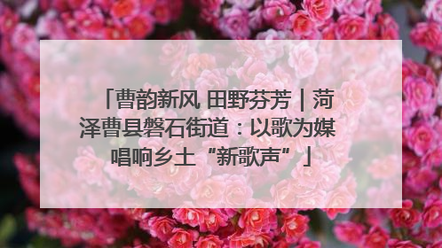 曹韵新风 田野芬芳｜菏泽曹县磐石街道：以歌为媒 唱响乡土“新歌声”