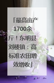 最高亩产1700余斤！东明县刘楼镇：高标准农田增效增收