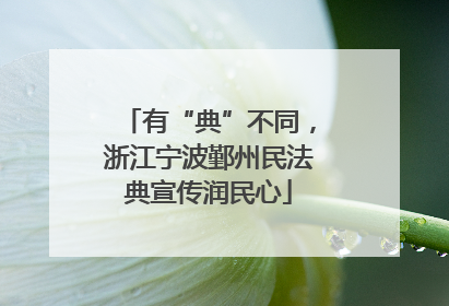 有“典”不同，浙江宁波鄞州民法典宣传润民心