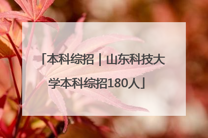 本科综招｜山东科技大学本科综招180人
