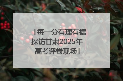 每一分有理有据 探访甘肃2025年高考评卷现场
