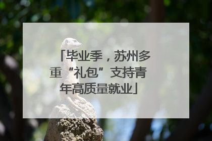 毕业季，苏州多重“礼包”支持青年高质量就业