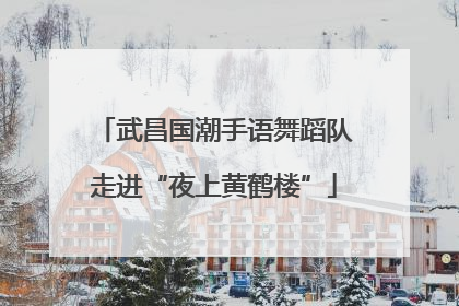武昌国潮手语舞蹈队走进“夜上黄鹤楼”