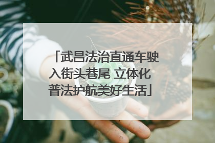 武昌法治直通车驶入街头巷尾 立体化普法护航美好生活