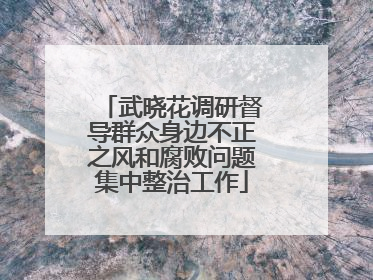 武晓花调研督导群众身边不正之风和腐败问题集中整治工作