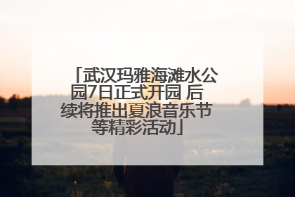 武汉玛雅海滩水公园7日正式开园 后续将推出夏浪音乐节等精彩活动