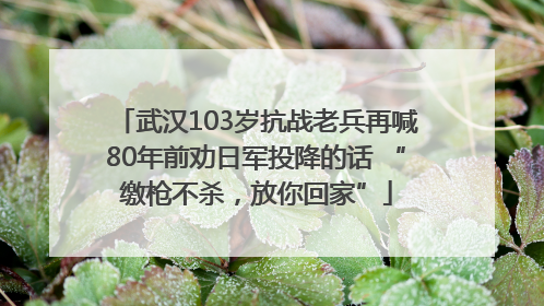 武汉103岁抗战老兵再喊80年前劝日军投降的话 “缴枪不杀，放你回家”
