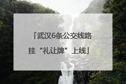 武汉6条公交线路挂“礼让牌”上线