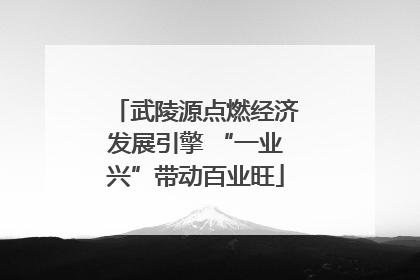 武陵源点燃经济发展引擎 “一业兴”带动百业旺