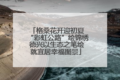 格桑花开迎初夏 “彩虹公路”绘锦绣 德兴以生态之笔绘就宜居幸福图景