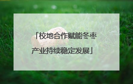 校地合作赋能冬枣产业持续稳定发展