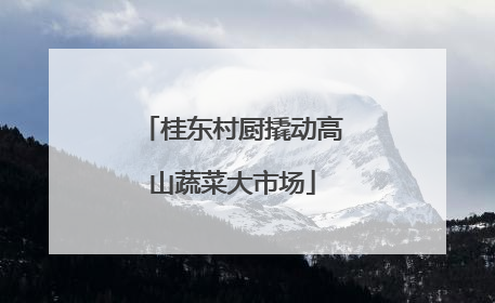 桂东村厨撬动高山蔬菜大市场