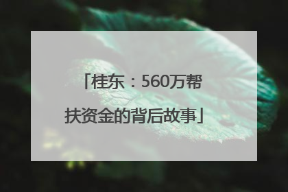桂东：560万帮扶资金的背后故事