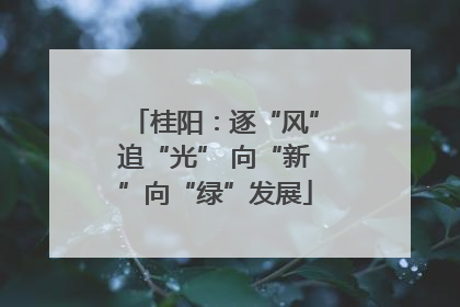 桂阳：逐“风”追“光” 向“新”向“绿”发展