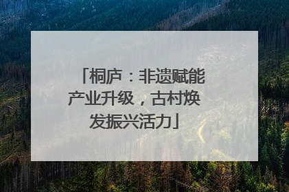 桐庐：非遗赋能产业升级，古村焕发振兴活力