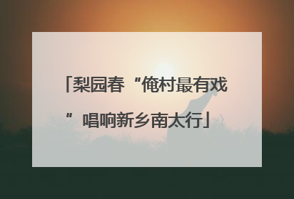 梨园春“俺村最有戏”唱响新乡南太行