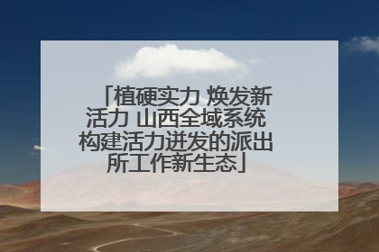 植硬实力 焕发新活力 山西全域系统构建活力迸发的派出所工作新生态