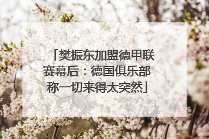 樊振东加盟德甲联赛幕后：德国俱乐部称一切来得太突然