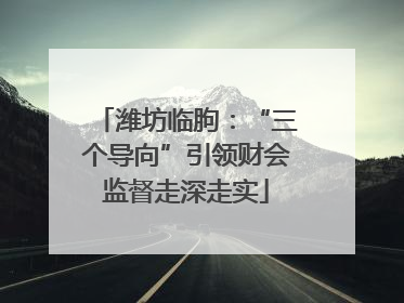 潍坊临朐：“三个导向”引领财会监督走深走实