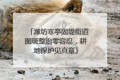 潍坊寒亭固堤街道图斑整治零容忍，耕地保护见真章