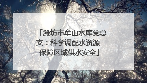 潍坊市牟山水库党总支：科学调配水资源 保障区域供水安全