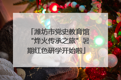 潍坊市党史教育馆“烽火传承之旅”暑期红色研学开始啦