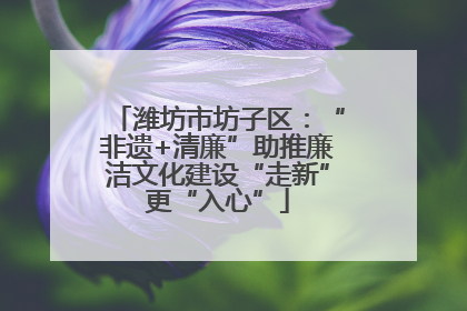 潍坊市坊子区：“非遗+清廉”助推廉洁文化建设“走新”更“入心”