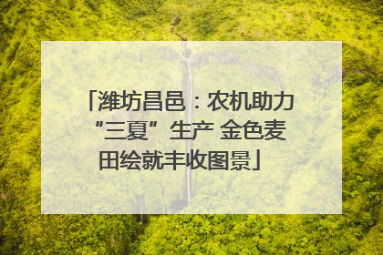 潍坊昌邑：农机助力“三夏”生产 金色麦田绘就丰收图景