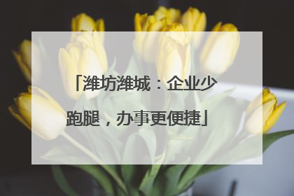 潍坊潍城：企业少跑腿，办事更便捷