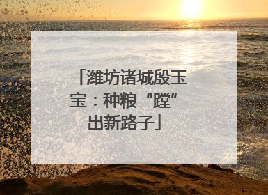 潍坊诸城殷玉宝：种粮“蹚”出新路子
