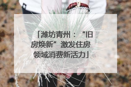 潍坊青州：“旧房焕新”激发住房领域消费新活力