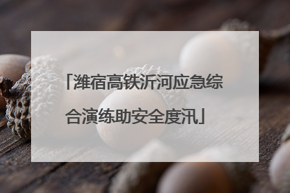 潍宿高铁沂河应急综合演练助安全度汛