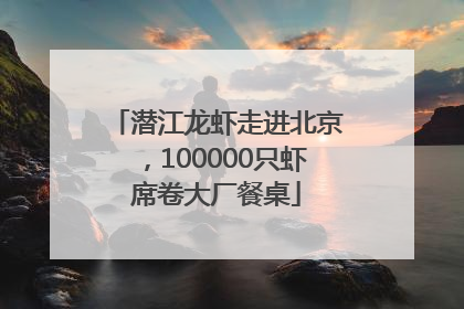 潜江龙虾走进北京，100000只虾席卷大厂餐桌