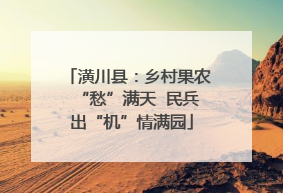 潢川县：乡村果农“愁”满天  民兵出“机”情满园