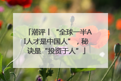 潮评丨“全球一半AI人才是中国人”，秘诀是“投资于人”