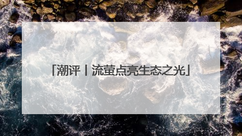 潮评丨流萤点亮生态之光
