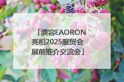 澳容EAORON亮相2025服贸会展前推介交流会