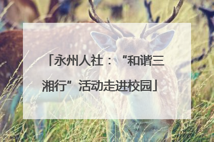 永州人社：“和谐三湘行”活动走进校园