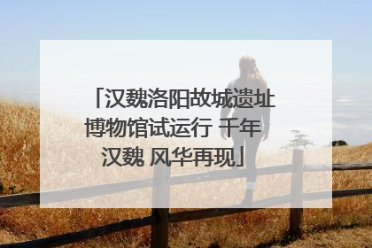 汉魏洛阳故城遗址博物馆试运行 千年汉魏 风华再现